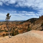 OTB 500 Tour of Three Parks – Utah